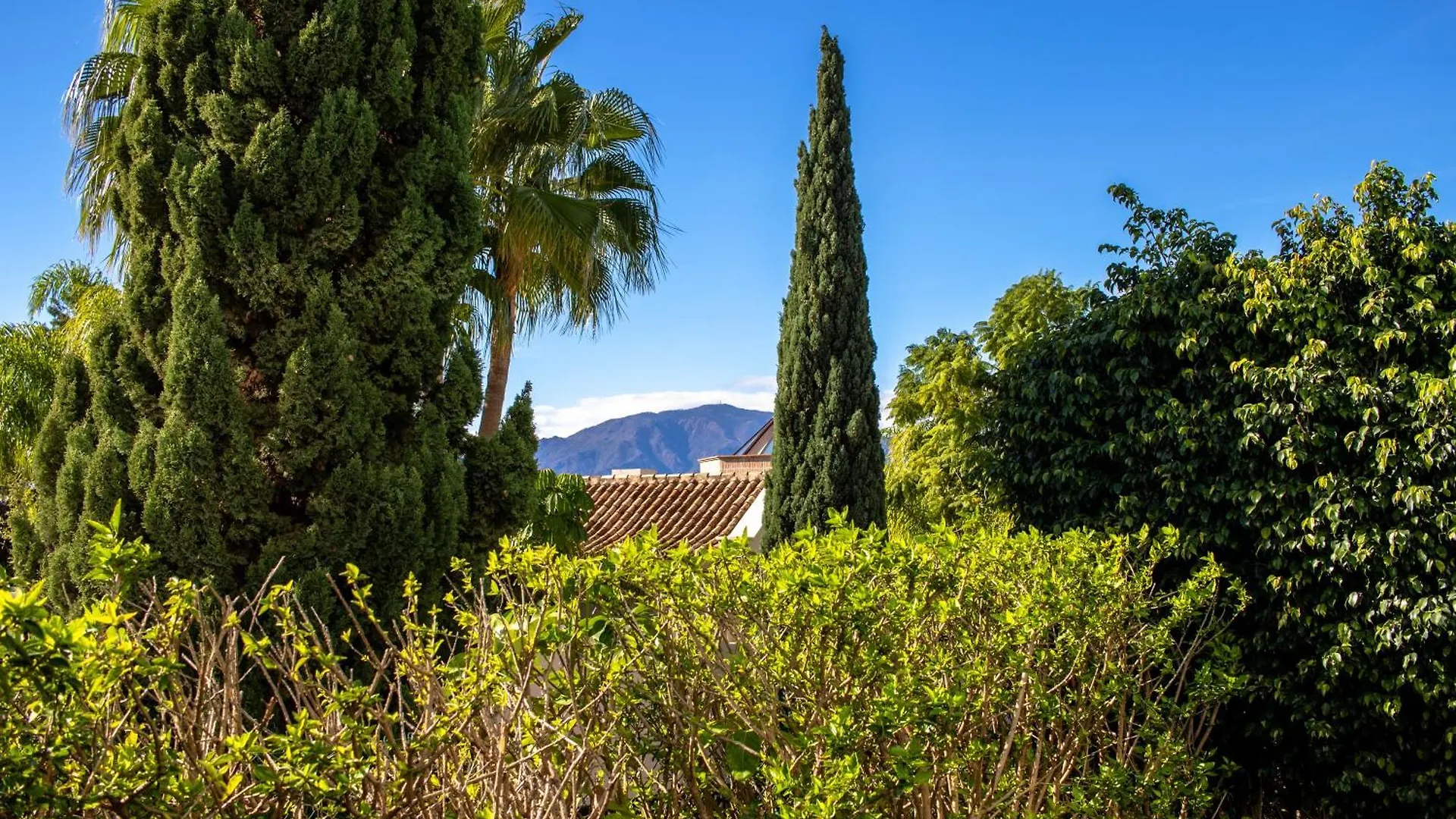 Apartment Bajo Encantador Y Familiar En Benahavis Estepona